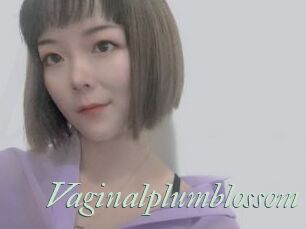 Vaginalplumblossom
