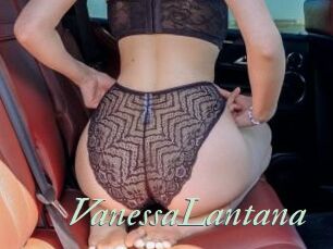 VanessaLantana