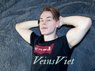 VeinsViet