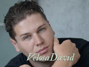 VelosaDavid