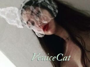 VeniceCat
