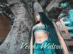 Venus_Walton