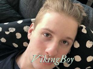 VikingBoy