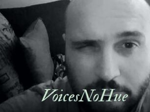 VoicesNoHue