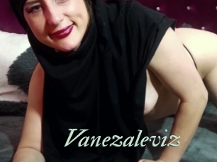 Vanezaleviz