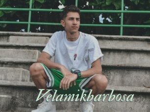Velamikbarbosa