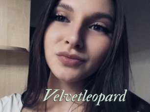Velvetleopard
