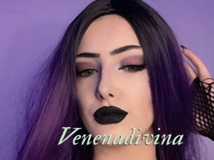 Venenadivina