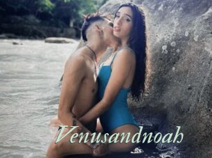 Venusandnoah
