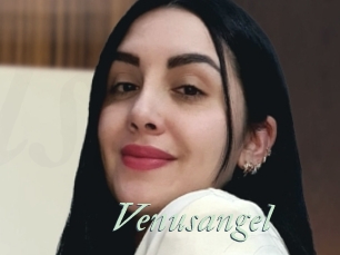Venusangel