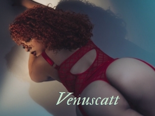 Venuscatt