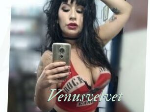 Venusvelvet