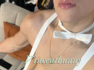 Vincentbunny