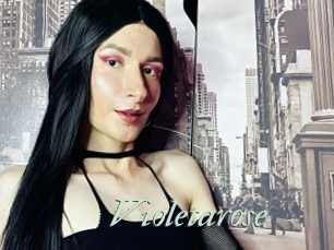 Violetarose