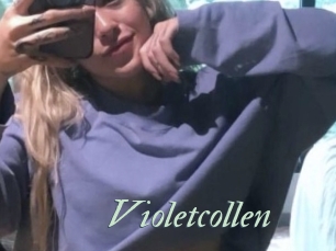 Violetcollen