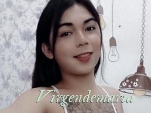 Virgendemaria