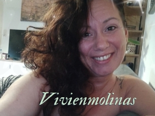 Vivienmolinas