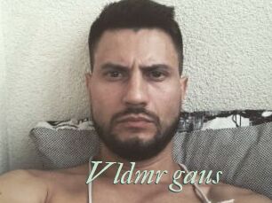 Vldmr_gaus