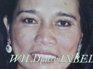 WILDpussyINBED