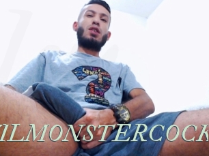 WILMONSTERCOCK