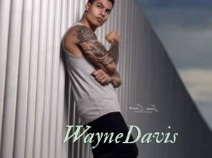 WayneDavis