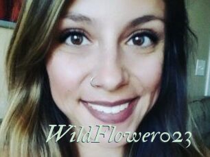 WildFlower023