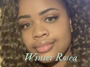 Winter_Rosea