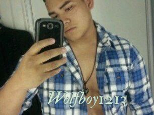 Wolfboy1213
