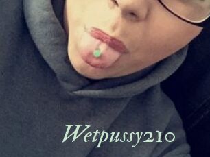 Wetpussy210