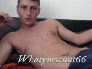 Whatyouwant66