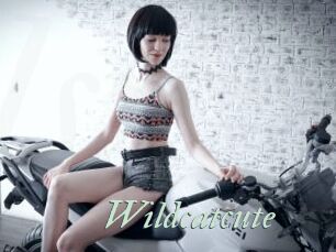 Wildcatcute