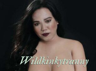 Wildkinkytranny