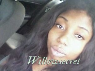 Willow_secret