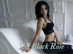 XS_Black_Rose