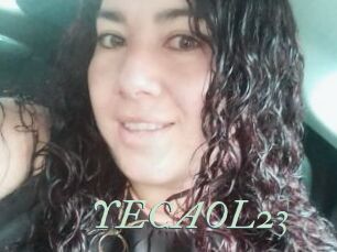 YECAOL23