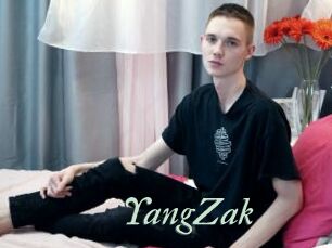 YangZak