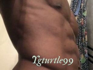Ygturtle99