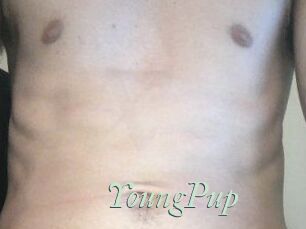 YoungPup