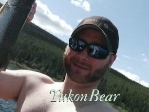 YukonBear