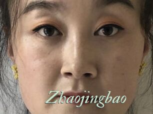 Zhaojingbao