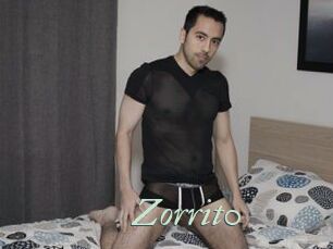 Zorrit0
