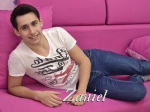 Zaniel